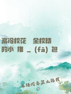 高冷?；S為全校精靈的小說推薦