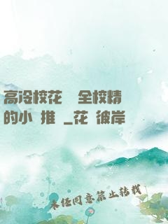 高冷?；S為全校精靈的小說推薦