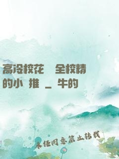 高冷?；S為全校精靈的小說推薦