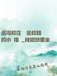 高冷?；S為全校精靈的小說推薦