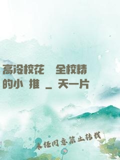 高冷?；S為全校精靈的小說推薦