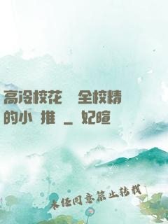 高冷?；S為全校精靈的小說推薦