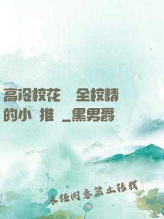 高冷?；S為全校精靈的小說推薦
