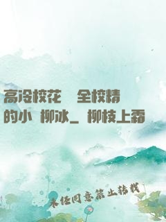 高冷?；S為全校精靈的小說柳冰