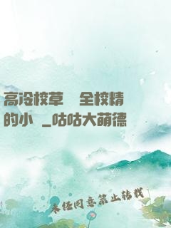 高冷校草淪為全校精靈的小說