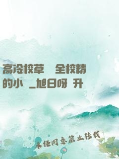 高冷校草淪為全校精靈的小說