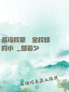 高冷校草淪為全校精靈的小說