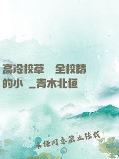 高冷校草淪為全校精靈的小說