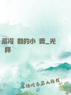 高冷總裁的小嬌妻