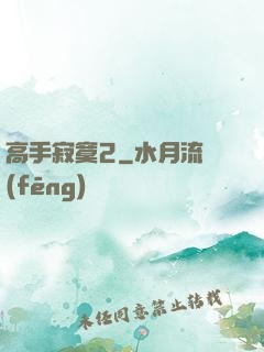 高手寂寞2
