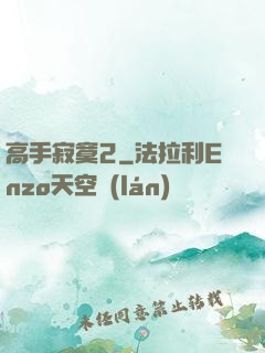 高手寂寞2