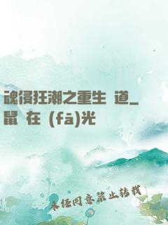 魂侵狂潮之重生問道