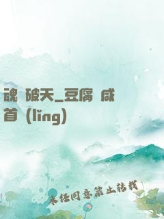 魂極破天