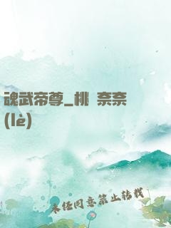 魂武帝尊