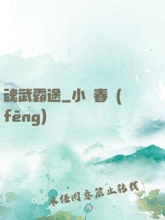魂武霸途