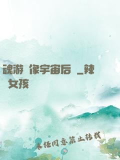 魂游鏡像宇宙后傳