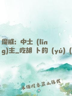 魔戒：中土領(lǐng)主