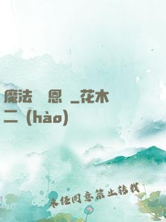 魔法師萊恩傳