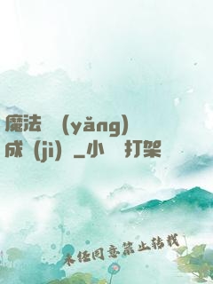 魔法師養(yǎng)成計(jì)劃