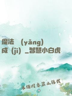 魔法師養(yǎng)成計(jì)劃