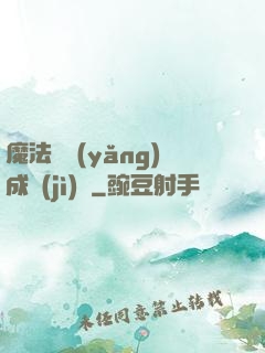 魔法師養(yǎng)成計(jì)劃