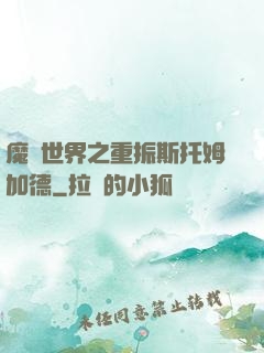 魔獸世界之重振斯托姆加德