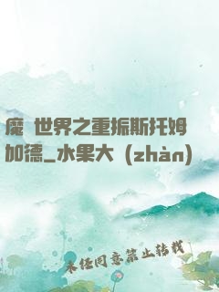 魔獸世界之重振斯托姆加德