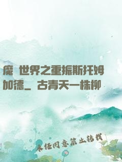 魔獸世界之重振斯托姆加德