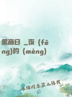 黑商日記