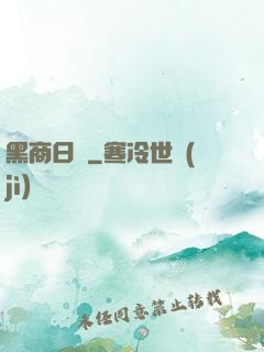 黑商日記