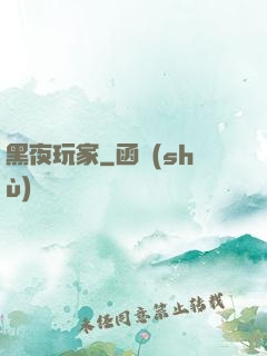 黑夜玩家