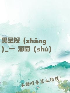 黑金探長(zhǎng)