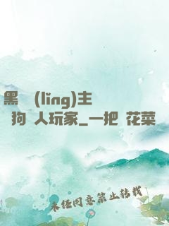黑龍領(lǐng)主與狗頭人玩家