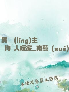 黑龍領(lǐng)主與狗頭人玩家