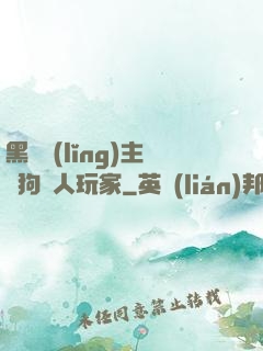 黑龍領(lǐng)主與狗頭人玩家