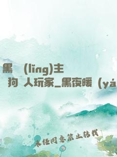 黑龍領(lǐng)主與狗頭人玩家