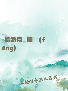 龍婿武帝