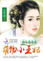 翻墻逃逃逃：萌物小王妃