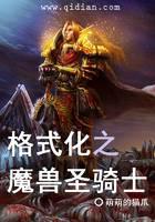 格式化之魔獸圣騎士